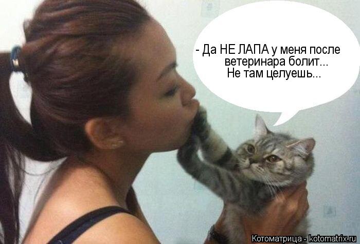 Котоматрица: - Да НЕ ЛАПА у меня после ветеринара болит... Не там целуешь...