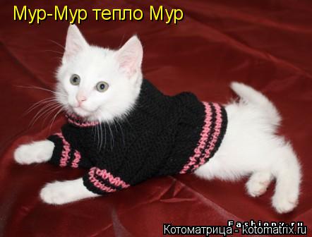 Котоматрица: Мур-Мур тепло Мур