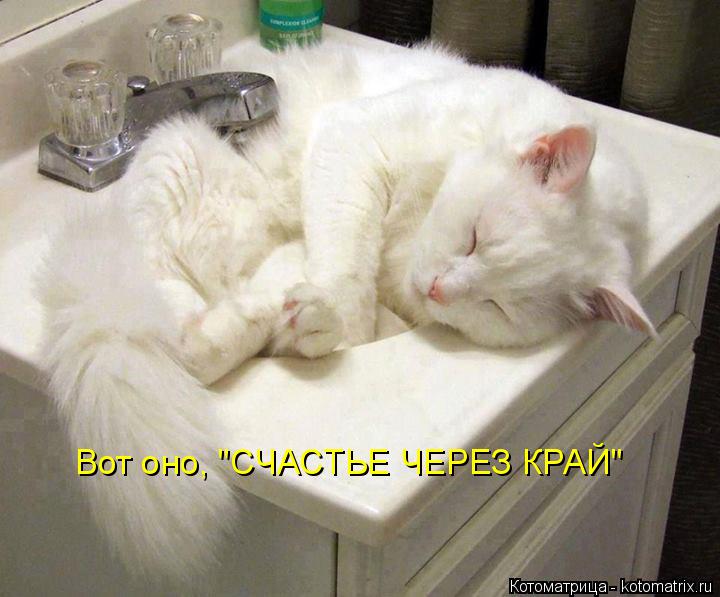 Котоматрица: Вот оно, "СЧАСТЬЕ ЧЕРЕЗ КРАЙ"