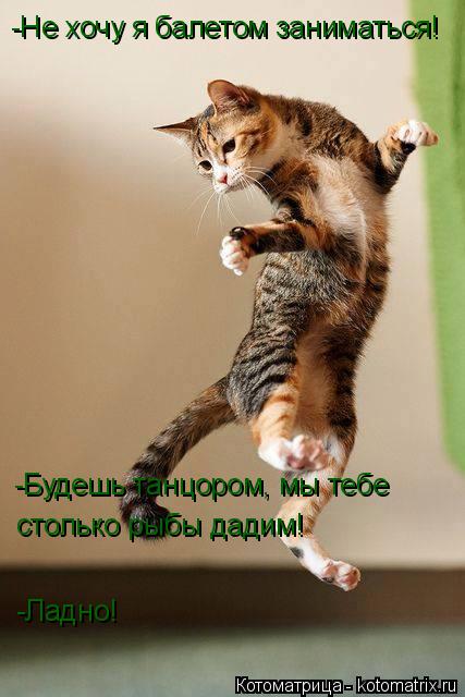 -Не хочу я балетом заниматься! -Будешь танцором, мы тебе столько рыбы дадим! -Ладно!... Котоматрица: -Не хочу я балетом заниматься! -Будешь танцором, мы тебе столько рыбы дадим! -Ладно!