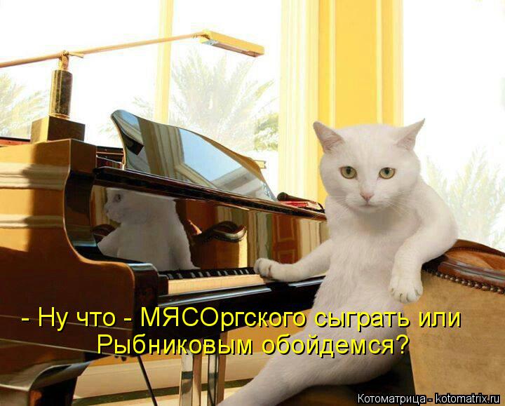 Котоматрица: - Ну что - МЯСОргского сыграть или Рыбниковым обойдемся?