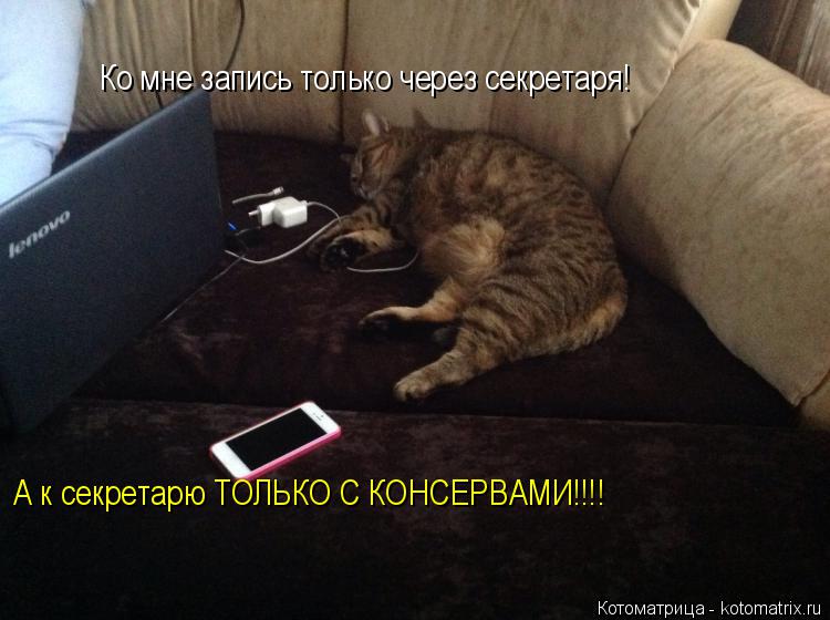 Котоматрица: Ко мне запись только через секретаря! А к секретарю ТОЛЬКО С КОНСЕРВАМИ!!!!