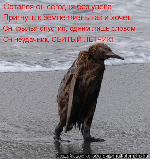 Остался он сегодня без улова, Пригнуть к земле жизнь так и хочет, Он крылья опустил, одним лишь слово... Котоматрица: Остался он сегодня без улова, Пригнуть к земле жизнь так и хочет, Он крылья опустил, одним лишь словом- Он неудачник, СБИТЫЙ ЛЕТЧИК!