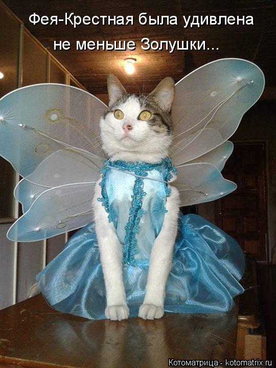 Фея-Крестная была удивлена не меньше Золушки...... Котоматрица: Фея-Крестная была удивлена не меньше Золушки...