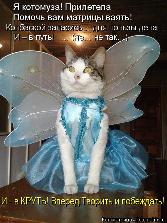 Котоматрица: Я котомуза! Прилетела Помочь вам матрицы ваять! Колбаской запасись… для пользы дела… И – в путь!   … (не… не так…) И - в КРУТЬ! Вперед!Творит