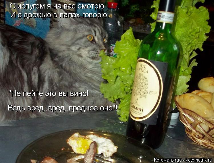 С испугом я на вас смотрю И с дрожью в лапах говорю: "Не пейте это вы вино! Ведь вред..вред..вредное ... Котоматрица: С испугом я на вас смотрю И с дрожью в лапах говорю: "Не пейте это вы вино! Ведь вред..вред..вредное оно"!