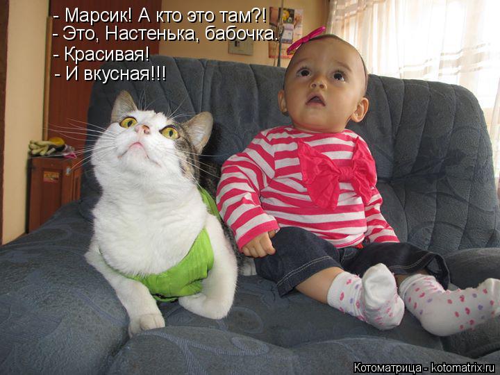 Котоматрица: - Марсик! А кто это там?! - Это, Настенька, бабочка. - Красивая! - И вкусная!!!