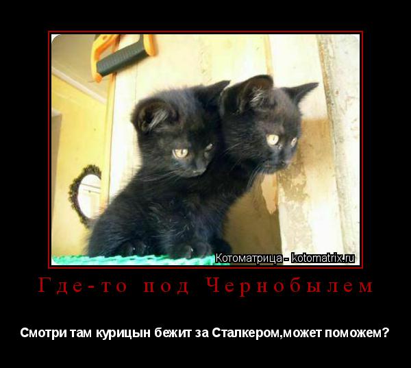 Котоматрица: Где-то под Чернобылем Смотри там курицын бежит за Сталкером,может поможем?