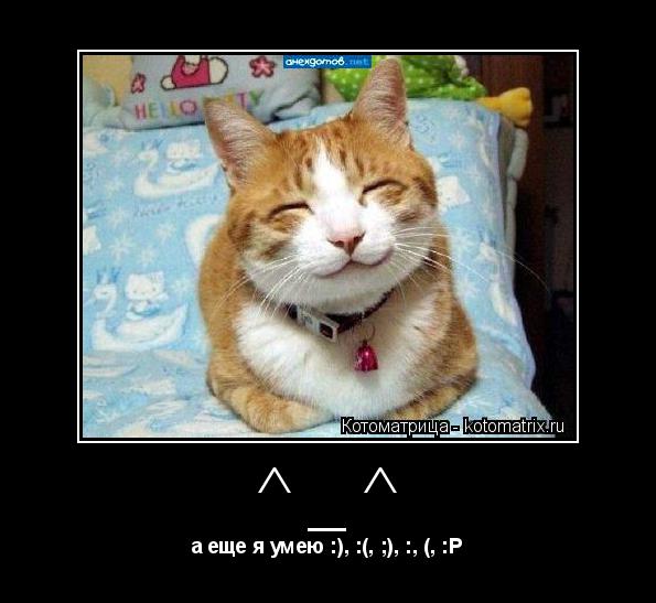 Котоматрица: ^_^ а еще я умею :), :(, ;), :, (, :Р