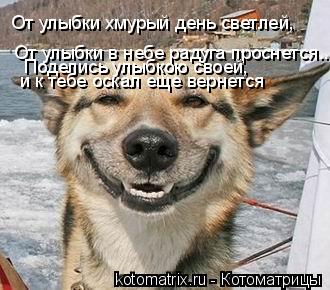 Котоматрица: От улыбки хмурый день светлей,  От улыбки в небе радуга проснется...  Поделись улыбкою своей,  и к тебе оскал еще вернется