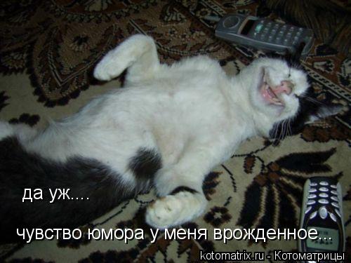 да уж.... чувство юмора у меня врожденное...... Котоматрица: да уж.... чувство юмора у меня врожденное...