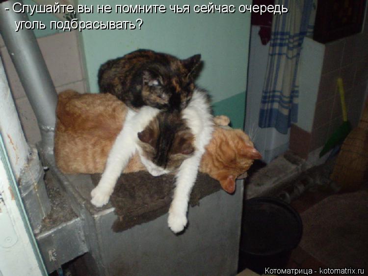 Котоматрица: - Слушайте,вы не помните чья сейчас очередь  уголь подбрасывать?