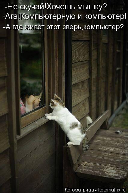 Котоматрица: -Не скучай!Хочешь мышку? -Ага!Компьютерную и компьютер! -А где живет этот зверь,компьютер?