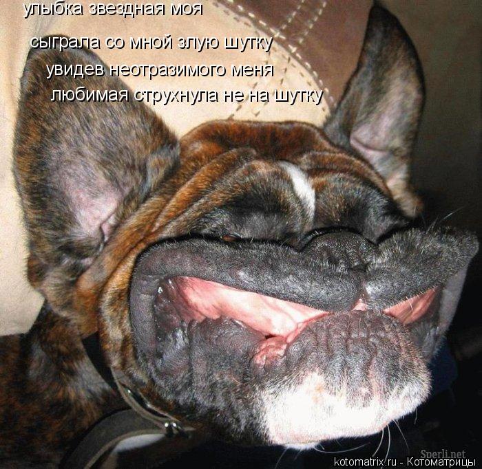 улыбка звездная моя сыграла со мной злую шутку увидев неотразимого меня любимая струхнула не на шутку... Котоматрица: улыбка звездная моя сыграла со мной злую шутку увидев неотразимого меня любимая струхнула не на шутку