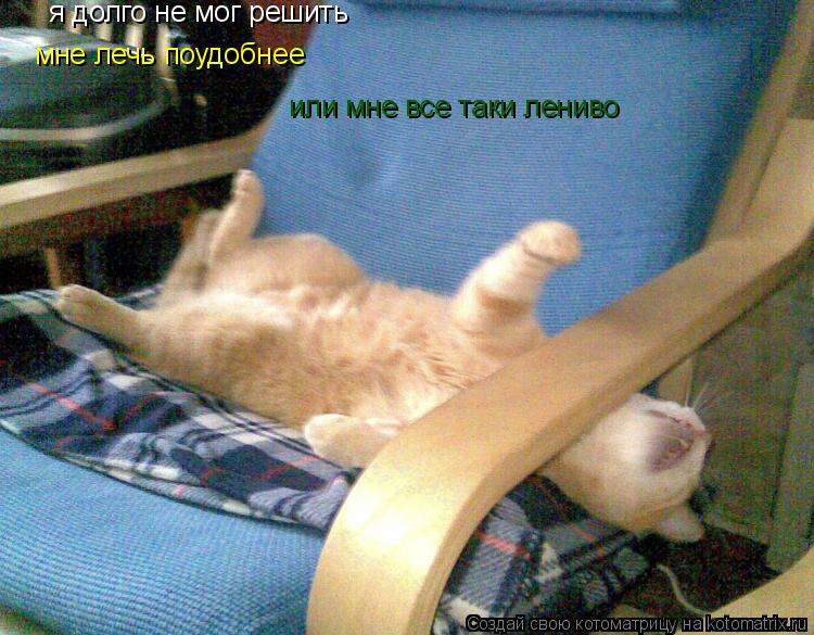 Котоматрица: я долго не мог решить мне лечь поудобнее или мне все таки лениво