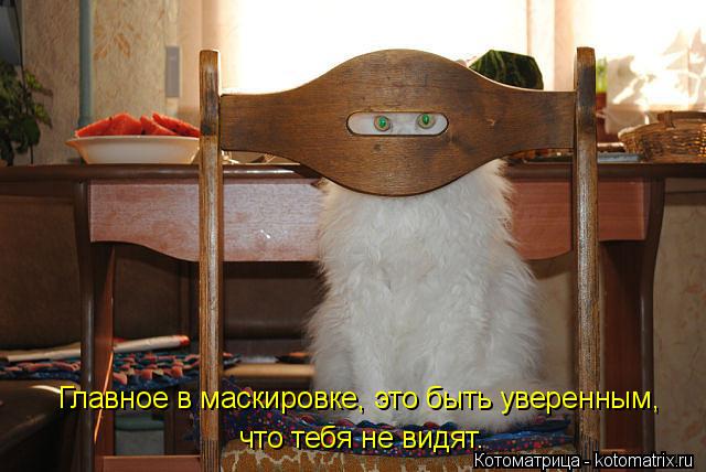 Котоматрица: Главное в маскировке, это быть уверенным, что тебя не видят.
