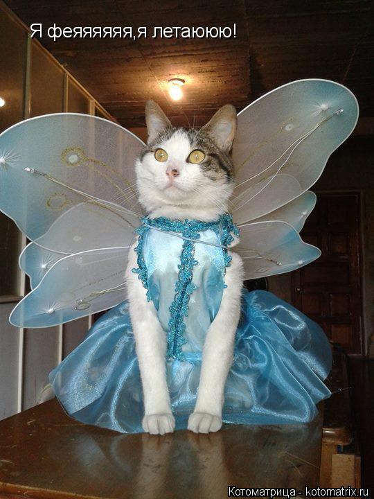 Я феяяяяяя,я летаююю!... Котоматрица: Я феяяяяяя,я летаююю!