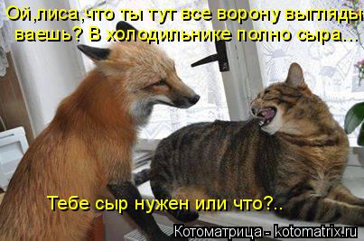 Ой,лиса,что ты тут все ворону выгляды- ваешь? В холодильнике полно сыра... Тебе сыр нужен или что?..... Котоматрица: Ой,лиса,что ты тут все ворону выгляды- ваешь? В холодильнике полно сыра... Тебе сыр нужен или что?..