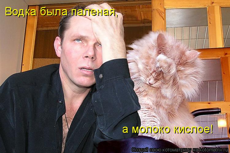 Водка была паленая, а молоко кислое!... Котоматрица: Водка была паленая, а молоко кислое!