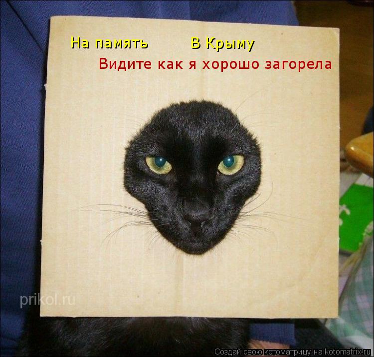 Видите как я хорошо загорела На память В Крыму... Котоматрица: Видите как я хорошо загорела На память В Крыму