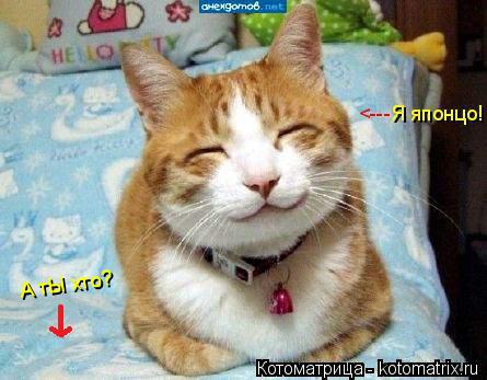 Котоматрица: А тЫ хто?