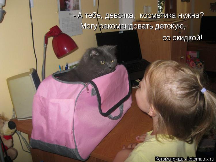 - А тебе, девочка, косметика нужна? Могу рекомендовать детскую, со скидкой!... Котоматрица: - А тебе, девочка, косметика нужна? Могу рекомендовать детскую, со скидкой!
