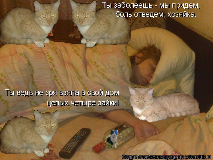 Ты заболеешь - мы придем, боль отведем, хозяйка. целых четыре зайки! Ты ведь не зря взяла в свой дом... Котоматрица: Ты заболеешь - мы придем, боль отведем, хозяйка. целых четыре зайки! Ты ведь не зря взяла в свой дом