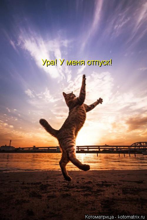 Котоматрица: Ура! У меня отпуск!