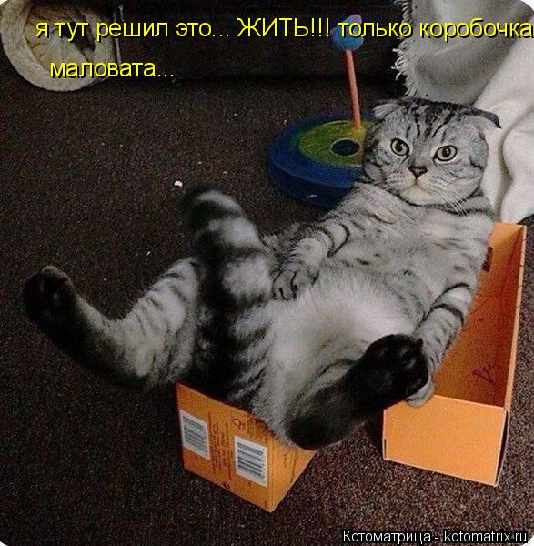 я тут решил это... ЖИТЬ!!! только коробочка маловата... маловата...... Котоматрица: я тут решил это... ЖИТЬ!!! только коробочка маловата... маловата...