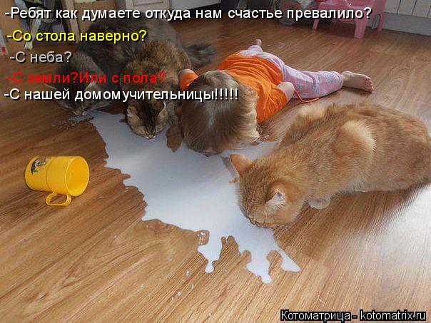 Котоматрица: -Ребят как думаете откуда нам счастье превалило? -Со стола наверно? -С неба? -С земли?Или с пола? -С нашей домомучительницы!!!!!