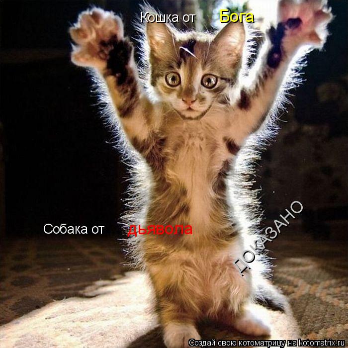 Кошка от Бога Собака от дьявола ДОКАЗАНО... Котоматрица: Кошка от Бога Собака от дьявола ДОКАЗАНО