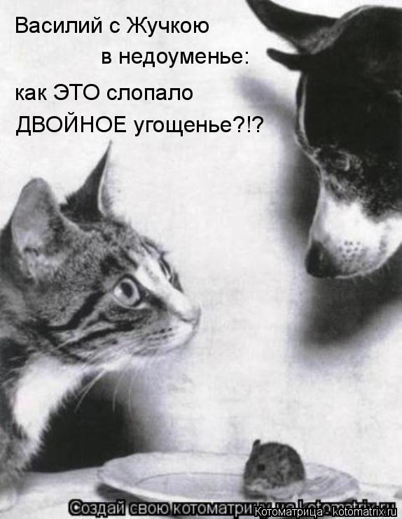 Котоматрица: Василий с Жучкою в недоуменье: как ЭТО слопало ДВОЙНОЕ угощенье?!?