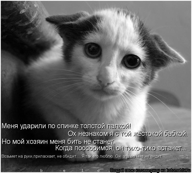 Котоматрица: Меня ударили по спинке толстой палкой! Ох незнаком я с той жестокой бабкой. Но мой хозяин меня бить не станет. Когда поссоримся, он тихо-тихо 