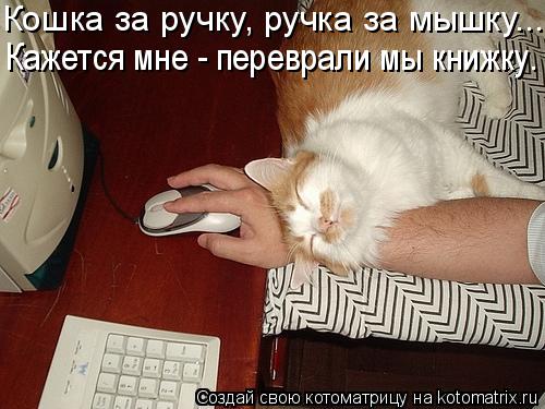 Кошка за ручку, ручка за мышку... Кажется мне - переврали мы книжку.... Котоматрица: Кошка за ручку, ручка за мышку... Кажется мне - переврали мы книжку.