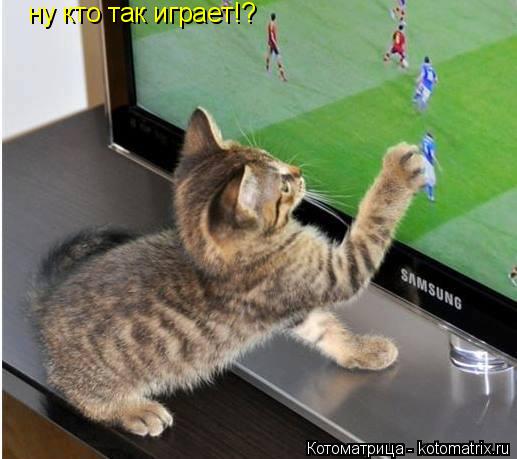 ну кто так играет!?... Котоматрица: ну кто так играет!?