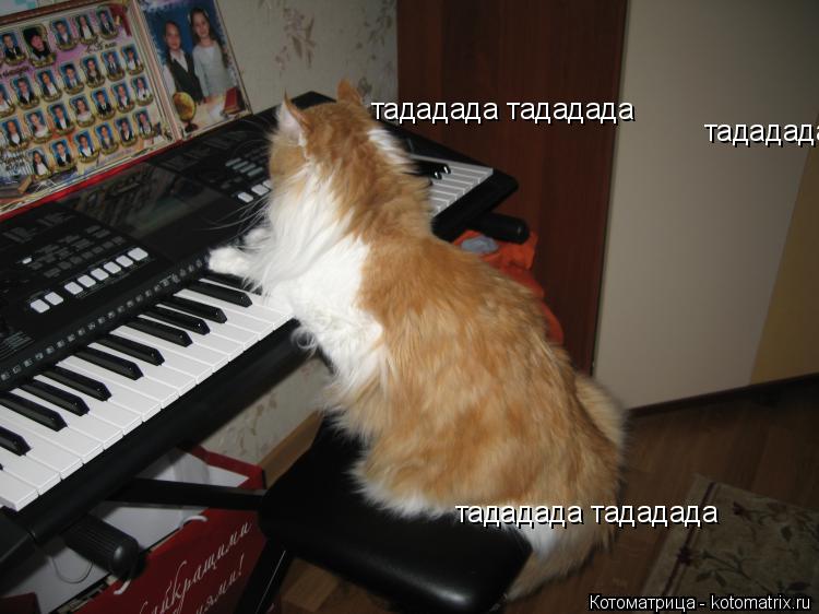 тададада тададада тададада тададада тададада тададада... Котоматрица: тададада тададада тададада тададада тададада тададада