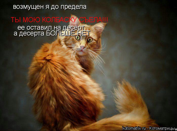 ТЫ МОЮ КОЛБАСКУ СЪЕЛА!!! ее оставил на десерт а десерта БОЛЬШЕ НЕТ возмущен я до предела... Котоматрица: ТЫ МОЮ КОЛБАСКУ СЪЕЛА!!! ее оставил на десерт а десерта БОЛЬШЕ НЕТ возмущен я до предела