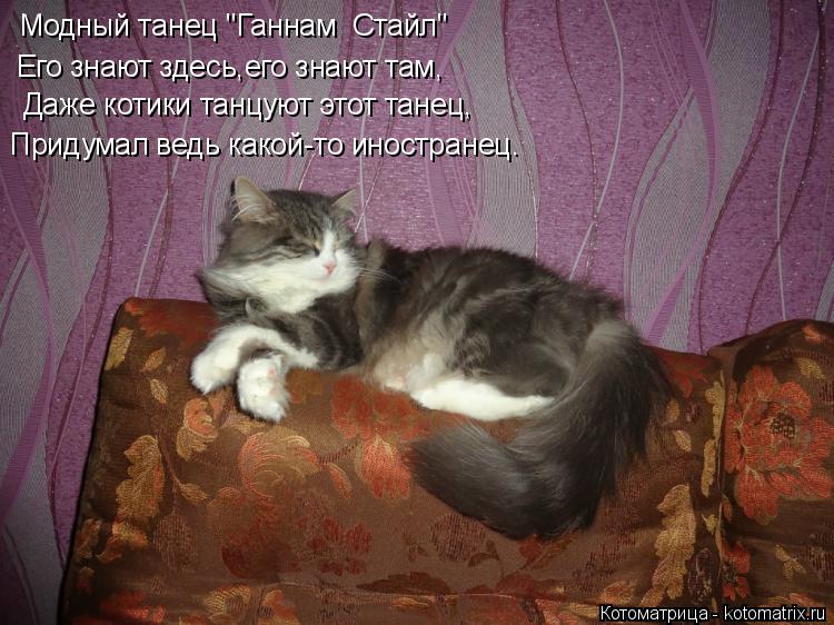 Модный танец "Ганнам Стайл" Его знают здесь,его знают там, Даже котики танцуют этот танец, Придумал ... Котоматрица: Модный танец "Ганнам Стайл" Его знают здесь,его знают там, Даже котики танцуют этот танец, Придумал ведь какой-то иностранец.