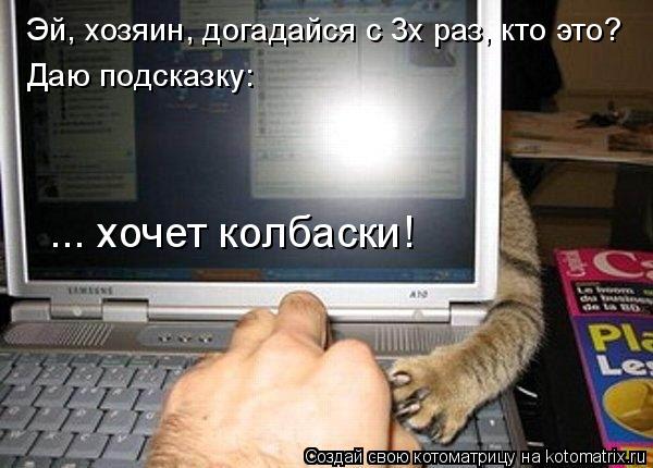 Эй, хозяин, догадайся с 3х раз, кто это? Даю подсказку: ... хочет колбаски!... Котоматрица: Эй, хозяин, догадайся с 3х раз, кто это? Даю подсказку: ... хочет колбаски!