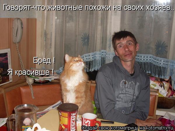 Говорят-что животные похожи на своих хозяев.... Бред ! Я красивше !... Котоматрица: Говорят-что животные похожи на своих хозяев.... Бред ! Я красивше !