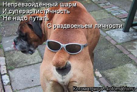 Непревзойдённый шарм И суперартистичность Не надо путать С раздвоеньем личности... Котоматрица: Непревзойдённый шарм И суперартистичность Не надо путать С раздвоеньем личности