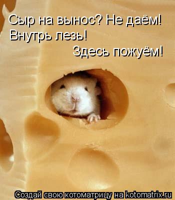 Сыр на вынос? Не даём! Внутрь лезь! Здесь пожуём!... Котоматрица: Сыр на вынос? Не даём! Внутрь лезь! Здесь пожуём!