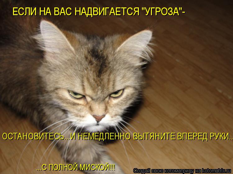 ЕСЛИ НА ВАС НАДВИГАЕТСЯ "УГРОЗА"- ОСТАНОВИТЕСЬ...И НЕМЕДЛЕННО ВЫТЯНИТЕ ВПЕРЕД РУКИ... ...С ПОЛНОЙ МИС... Котоматрица: ЕСЛИ НА ВАС НАДВИГАЕТСЯ "УГРОЗА"- ОСТАНОВИТЕСЬ...И НЕМЕДЛЕННО ВЫТЯНИТЕ ВПЕРЕД РУКИ... ...С ПОЛНОЙ МИСКОЙ!!!