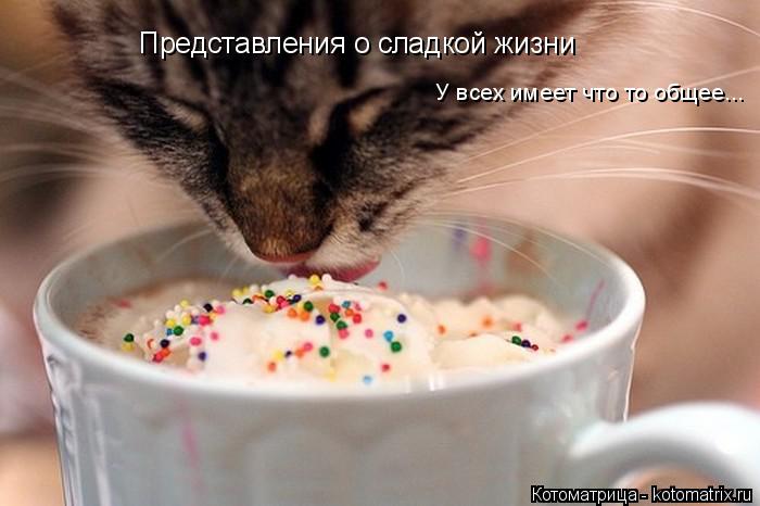 Представления о сладкой жизни У всех имеет что то общее...... Котоматрица: Представления о сладкой жизни У всех имеет что то общее...
