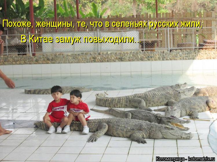 Похоже, женщины, те, что в селеньях русских жили, В Китае замуж повыходили...... Котоматрица: Похоже, женщины, те, что в селеньях русских жили, В Китае замуж повыходили...