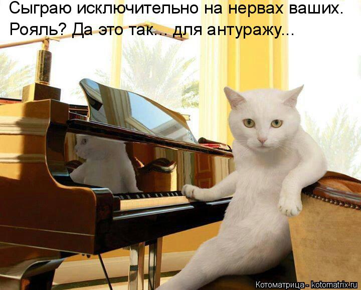 Сыграю исключительно на нервах ваших. Рояль? Да это так... для антуражу...... Котоматрица: Сыграю исключительно на нервах ваших. Рояль? Да это так... для антуражу...