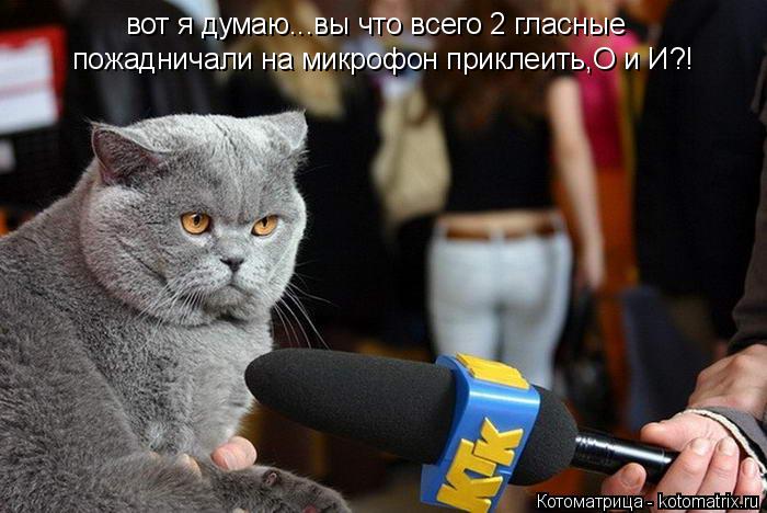 вот я думаю...вы что всего 2 гласные пожадничали на микрофон приклеить,О и И?!... Котоматрица: вот я думаю...вы что всего 2 гласные пожадничали на микрофон приклеить,О и И?!