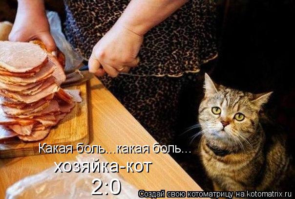 Какая боль...какая боль... хозяйка-кот 2:0... Котоматрица: Какая боль...какая боль... хозяйка-кот 2:0