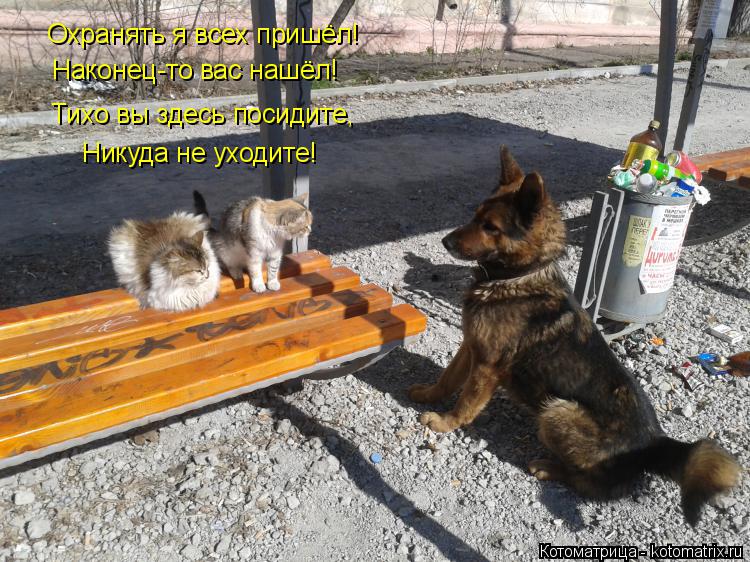 Охранять я всех пришёл! Наконец-то вас нашёл! Тихо вы здесь посидите, Никуда не уходите!... Котоматрица: Охранять я всех пришёл! Наконец-то вас нашёл! Тихо вы здесь посидите, Никуда не уходите!