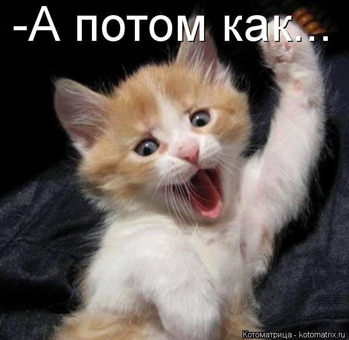 -А потом как...... Котоматрица: -А потом как...